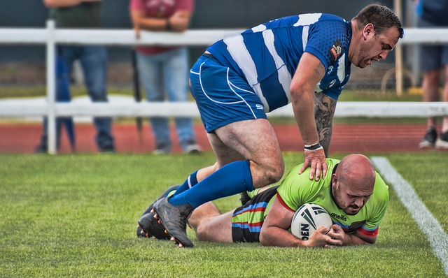 不仅增强了 不仅增强了